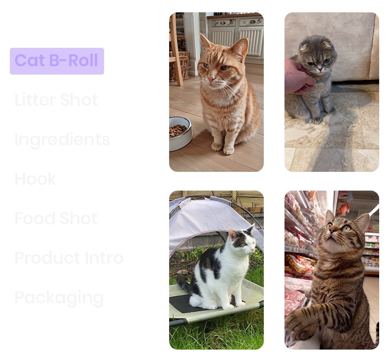 Cat Food Ad Examples