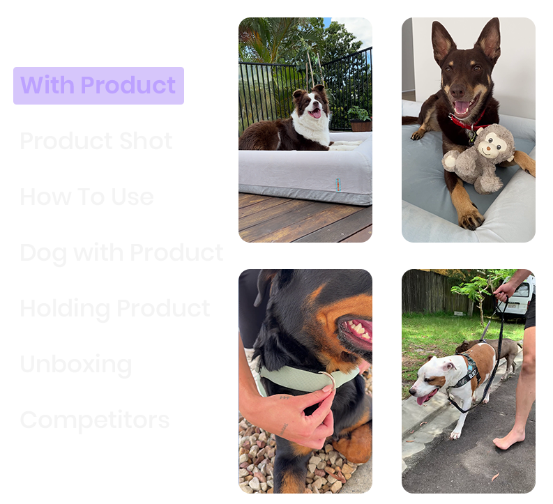 Dog Accessories Ad Examples