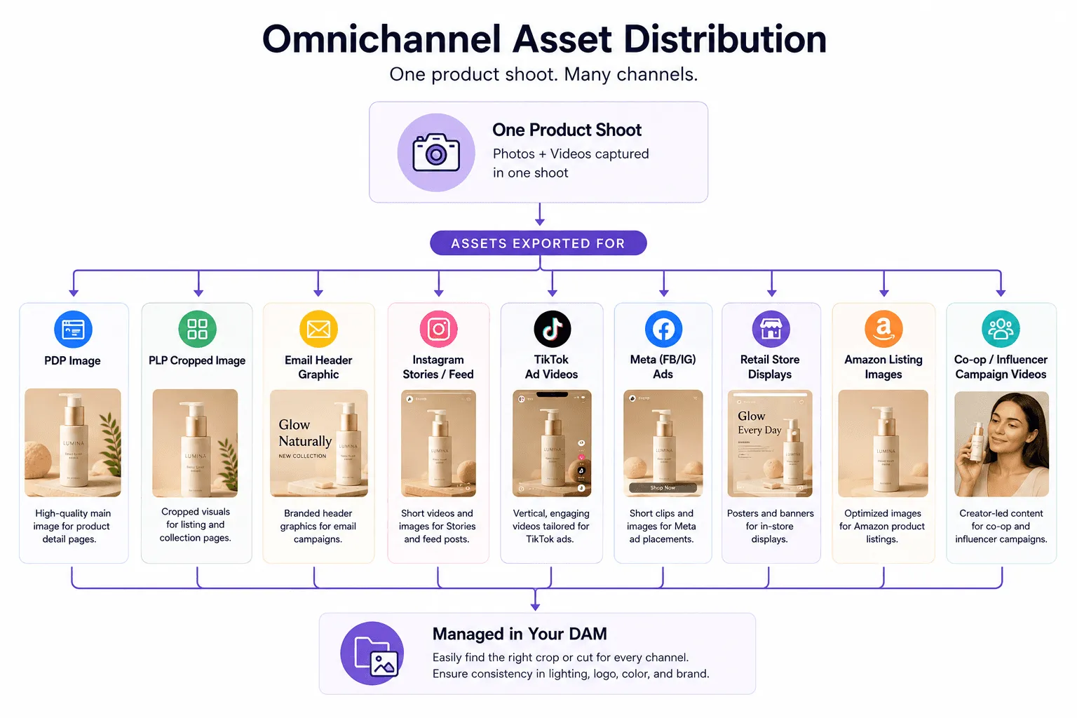 One product shoot exported to nine channels, from PDP and email to TikTok, Meta and Amazon, managed in a DAM