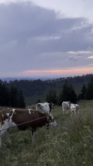 Clip matching “sweeping landscape shot”