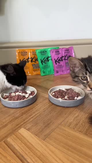 Clip matching “cat eating or drinking”